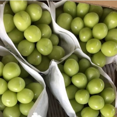 厳選シャインマスカット 4～6房(3kg)　メイア農園から(新鮮直送)