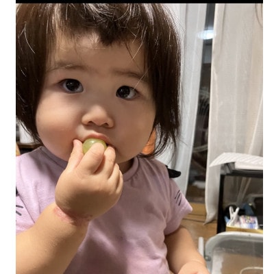 厳選シャインマスカット 4～6房(3kg)　メイア農園から(新鮮直送)