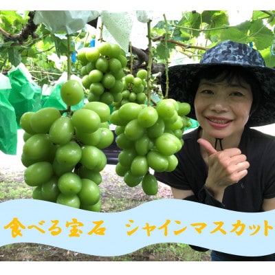厳選シャインマスカット 4～6房(3kg)　メイア農園から(新鮮直送)