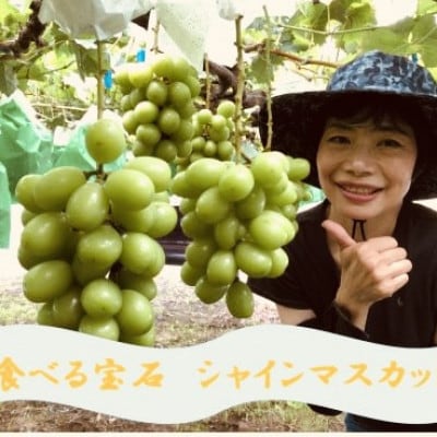 厳選シャインマスカット 4～6房(3kg)　メイア農園から(新鮮直送)
