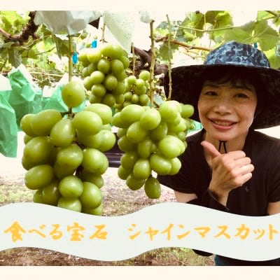 厳選シャインマスカット6～10房(5kg)メイア農園から(新鮮直送)