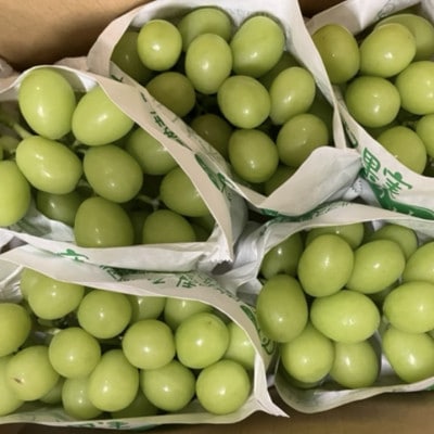 シャインマスカット(新鮮直送・家庭用3kg)メイア農園から恋しくなる大自然の恵みをお届けします。