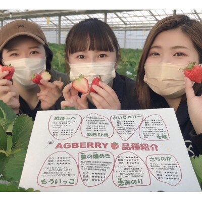 【2023年1月～5月】8品種食べ放題!いちご狩りペアチケット