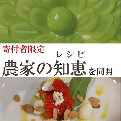 【発送月固定定期便】旬を味わい尽くせ!!イチゴとシャインマスカットの全2回