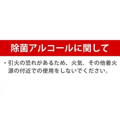 日本製アルコール除菌スプレー　400ml　Alc72% 2本セット