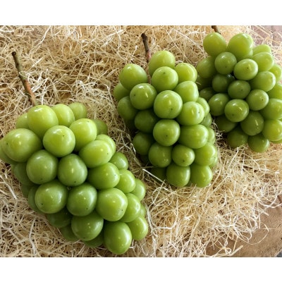 2023年秋収穫先行受付 果樹王国山梨県産シャインマスカット　約1.8kg3～4房