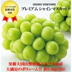 2023年秋収穫先行受付 果樹王国山梨県産プレミアムシャインマスカット　約1.4kg　2房