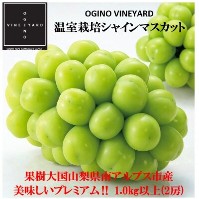 【2024年先行受付】山梨県産 温室栽培シャインマスカット 約1kg(2房) ギフト化粧箱