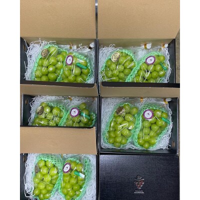 【2024年先行受付】山梨県産 温室栽培シャインマスカット 約1kg(2房) ギフト化粧箱
