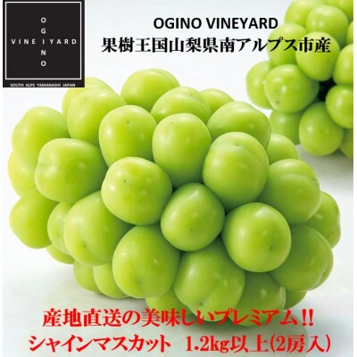 【2024年秋収穫先行受付】山梨県産 シャインマスカット 約1.2kg(2房)