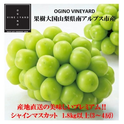 【2024年秋収穫先行受付】山梨県産 シャインマスカット 約1.8kg(3～4房)