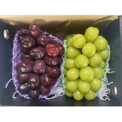 【2024年秋収穫先行受付】山梨県産 富士の輝&シャインマスカット 約1.5kg(2房)