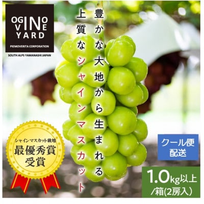 2025年先行予約7月上旬～発送 山梨県産早期出荷シャインマスカット 1.0kg以上/箱 2房入