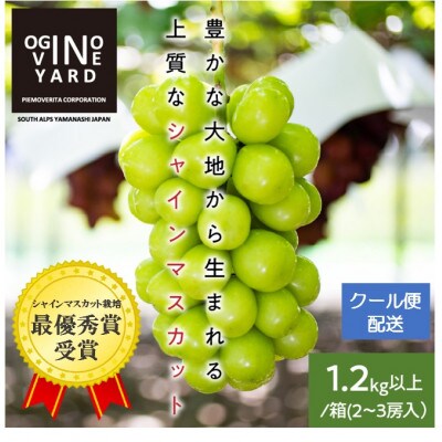 2025年先行予約7月上旬～発送 山梨県産早期出荷シャインマスカット 1.2kg以上/箱 2～3房入