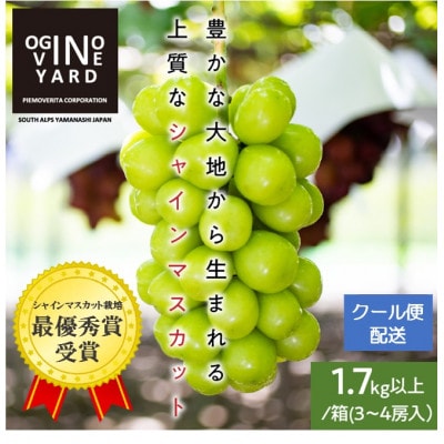2025年先行予約7月上旬～発送 山梨県産早期出荷シャインマスカット 1.7kg以上/箱 3～4房入