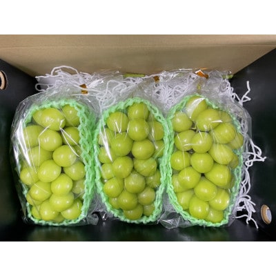 2025年先行予約7月上旬～発送 山梨県産早期出荷シャインマスカット 2.0kg以上/箱 3～5房入