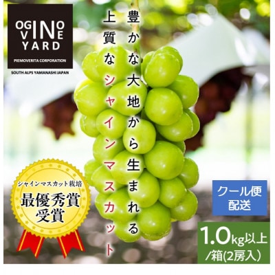2025年秋収穫先行予約8月下旬～発送 山梨県産シャインマスカット 1.0kg以上/箱 2房入