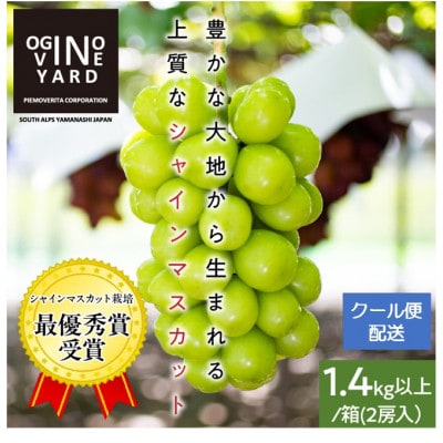 2025年秋収穫先行予約8月下旬～発送 山梨県産シャインマスカット 1.4kg以上/箱 2房入