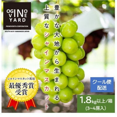 2025年秋収穫先行予約8月下旬～発送 山梨県産シャインマスカット 1.8kg以上/箱 3～4房入