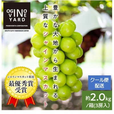 2025年秋収穫先行予約8月下旬～発送 山梨県産シャインマスカット 2.0kg以上/箱 3房入