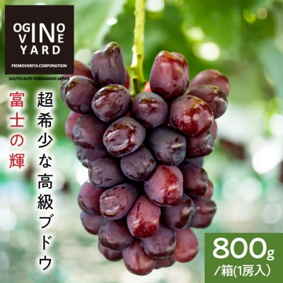 【2025年秋収穫先行予約】山梨県産 富士の輝 800g/箱(1房入)