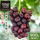 【2025年秋収穫先行予約】山梨県産 富士の輝 900g/箱(1房入)