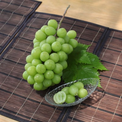【ふるさと納税】先行受付 厳選!シャインマスカット 約1.5kg(2～3房) 山梨県南アルプス市産