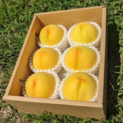山梨県南アルプス市産 黄金桃 約2kg 5玉~8玉