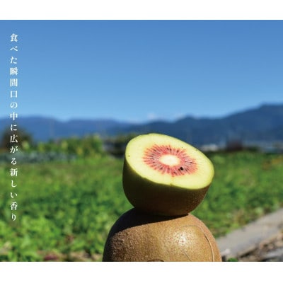 レッドキウイ　800g(約12個入り)
