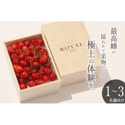 <2025年先行受付>南アルプス市産 さくらんぼ「MIX」L,2Lサイズ BOX 250g