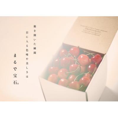 <2025年先行受付>南アルプス市産 さくらんぼ「MIX」L,2Lサイズ BOX 250g
