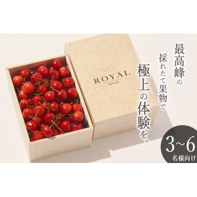 <2025年先行受付>南アルプス市産 さくらんぼ「MIX」L,2Lサイズ BOX 500g