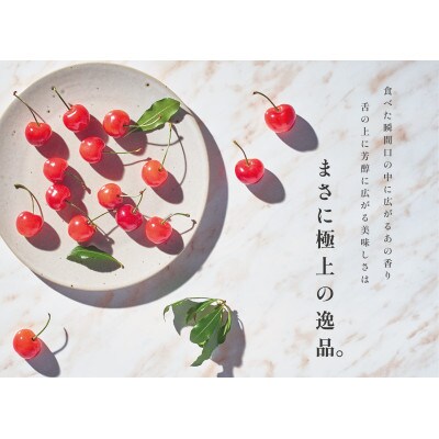 <2025年先行受付>南アルプス市産 大粒さくらんぼ「MIX」2L,3Lサイズ 70粒入