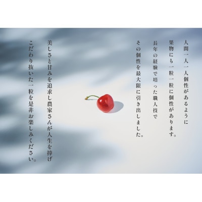 <2025年先行受付>南アルプス市産 バラ詰めさくらんぼ「MIX」M,Lサイズ 800g
