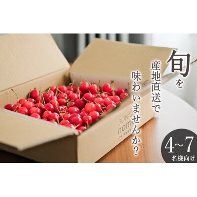 <2025年先行受付>南アルプス市産 バラ詰めさくらんぼ「MIX」M,Lサイズ 1.6kg