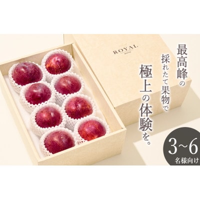 <2025年先行受付>南アルプス市産 大玉 貴陽 8個(約2.1kg)