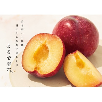 <2025年先行受付>南アルプス市産 大玉 貴陽 8個(約2.1kg)