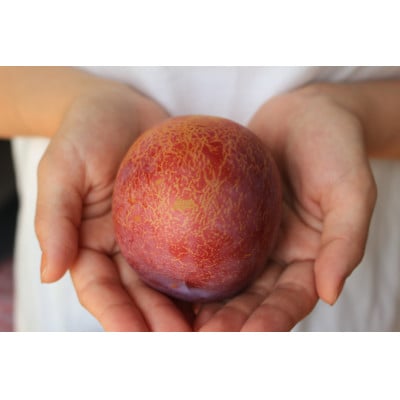 <2025年先行受付>南アルプス市産 大玉 貴陽 8個(約2.1kg)