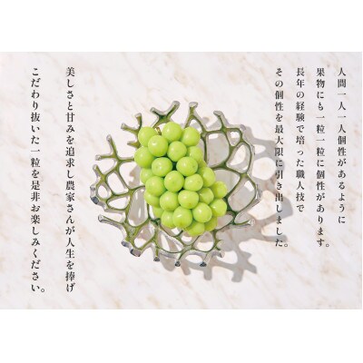 <2025年先行受付>南アルプス市産 粒詰めシャインマスカット 約1kg