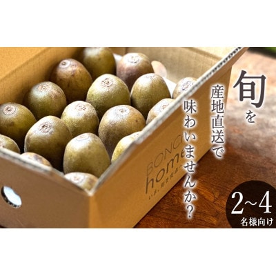<2024年先行受付>南アルプス市産 ご家庭用 レッドキウイ 約1kg(12～18個)