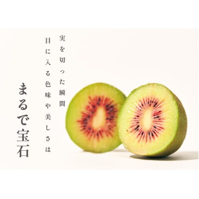 <2024年先行受付>南アルプス市産 ご家庭用 レッドキウイ 約1kg(12～18個)