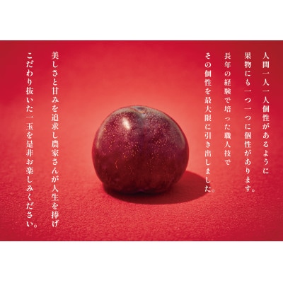 <先行予約2026年>南アルプス市産 貴陽 約1kg(5~7個入)