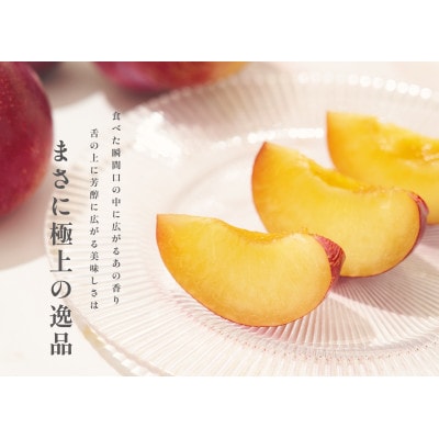 <先行予約2026年>南アルプス市産 貴陽 約1kg(5~7個入)