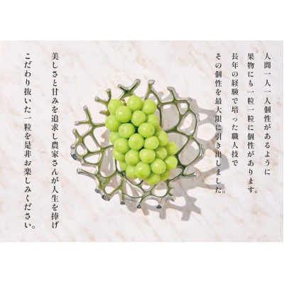 <先行予約2026年>南アルプス市産 シャインマスカット 2房入(約1.1kg)