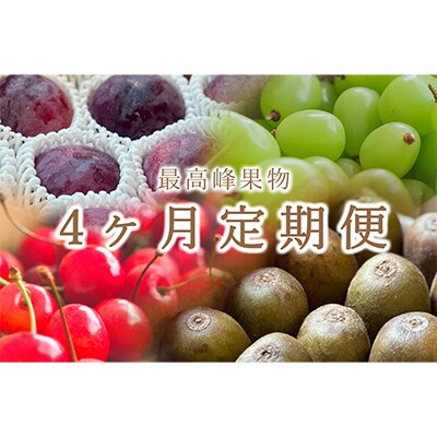 【発送月固定定期便】<2024年先行受付>南アルプス市が誇る ご家庭用果物定期便 全4回