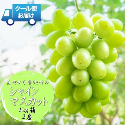 安心のクール便発送　シャインマスカット 1kg (2房)　山梨県南アルプス市