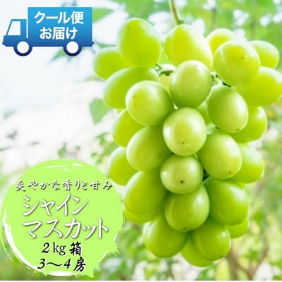安心のクール便発送　シャインマスカット　2kg (3～4房)　山梨県南アルプス市