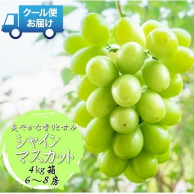 安心のクール便発送　シャインマスカット　4kg (6～8房)　山梨県南アルプス市