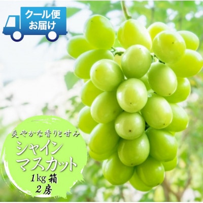 先行予約　2026年発送分　山梨県 笛吹市　安心のクール便発送　シャインマスカット 1kg 　2房