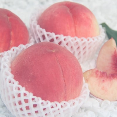 厳選!南アルプス市産　朝採り桃　約2kg(5～8玉)　